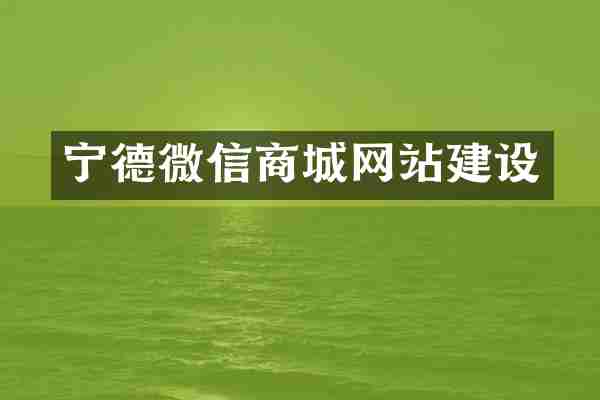 宁德微信商城网站建设