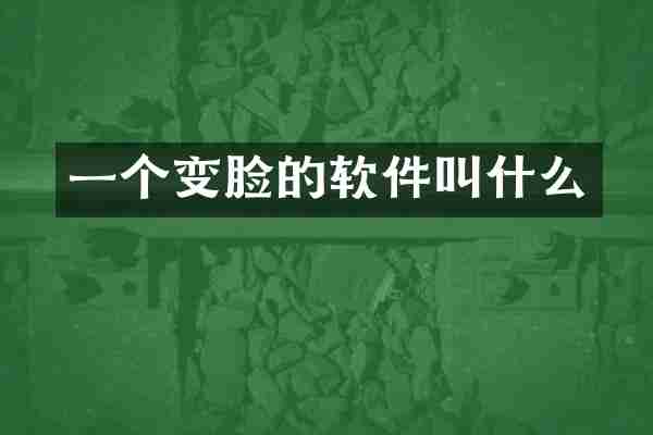 一个变脸的软件叫什么