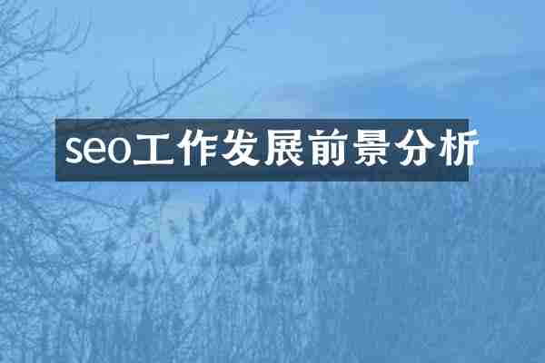 seo工作发展前景分析