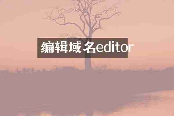 编辑域名editor
