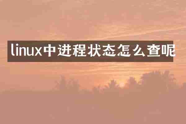 linux中进程状态怎么查呢