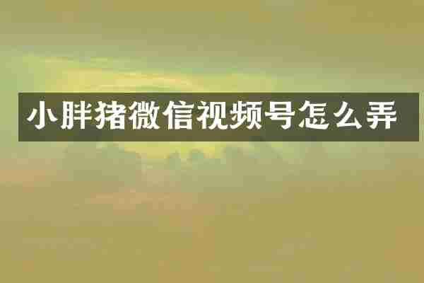 小胖猪微信视频号怎么弄