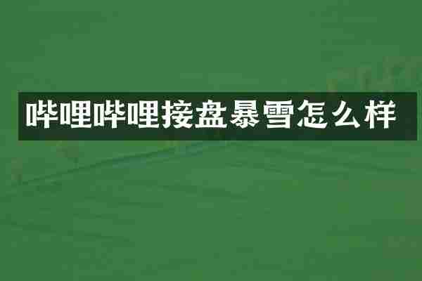 哔哩哔哩接盘暴雪怎么样