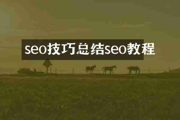 seo技巧总结seo教程