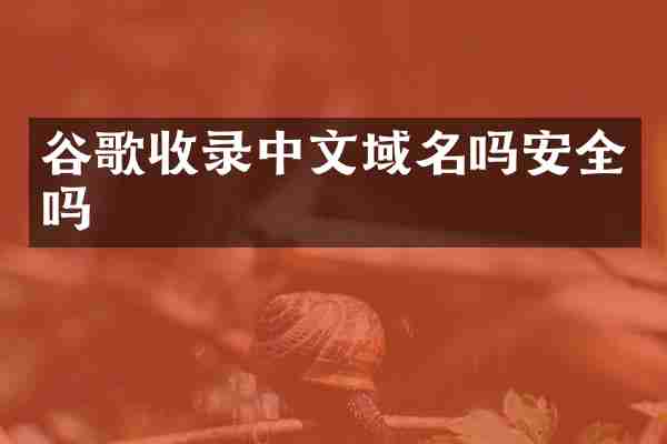 谷歌收录中文域名吗安全吗
