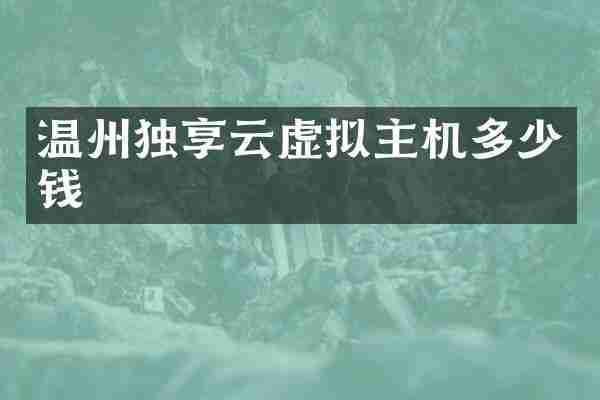 温州独享云虚拟主机多少钱