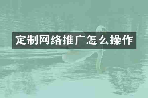 定制网络推广怎么操作