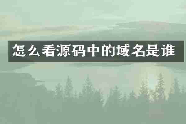 怎么看源码中的域名是谁