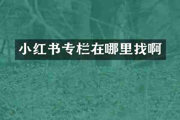 小红书专栏在哪里找啊