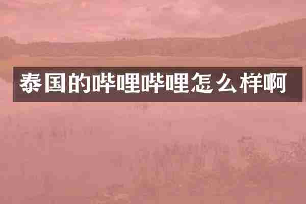 泰国的哔哩哔哩怎么样啊