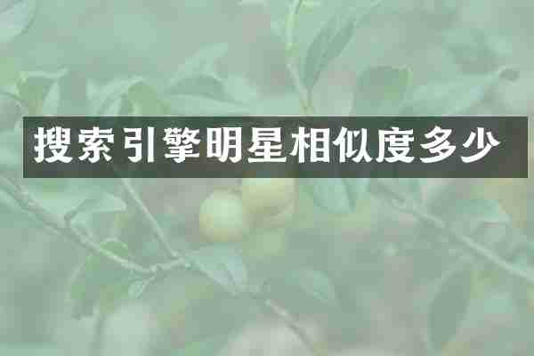 搜索引擎明星相似度多少