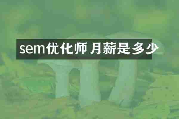 sem优化师月薪是多少