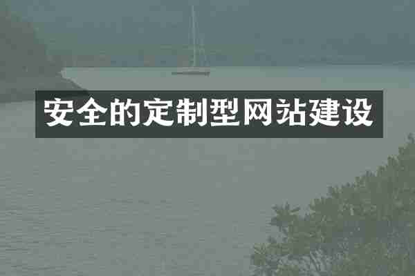 安全的定制型网站建设