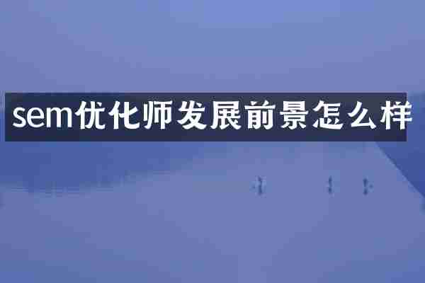 sem优化师发展前景怎么样