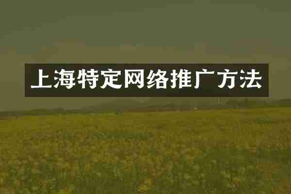 上海特定网络推广方法