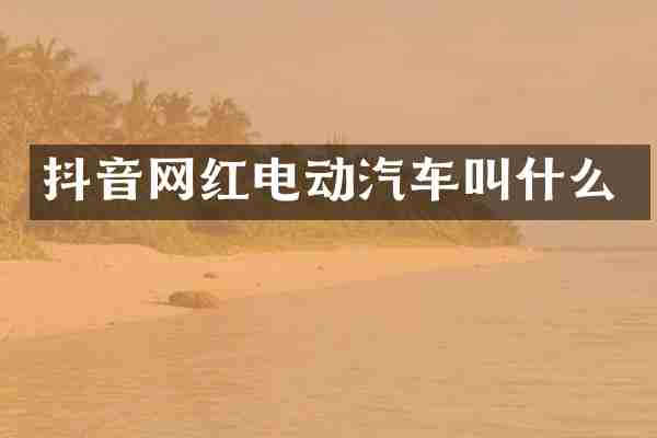 抖音网红电动汽车叫什么