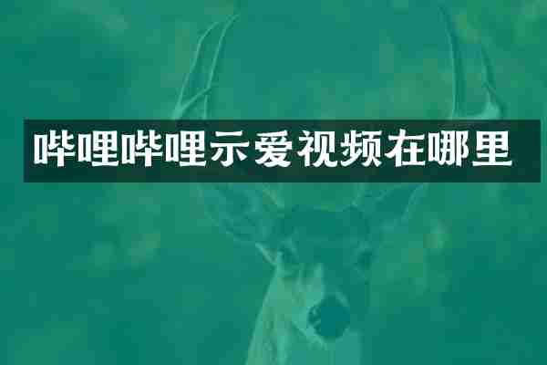 哔哩哔哩示爱视频在哪里