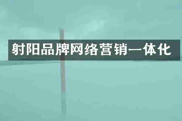 射阳品牌网络营销一体化