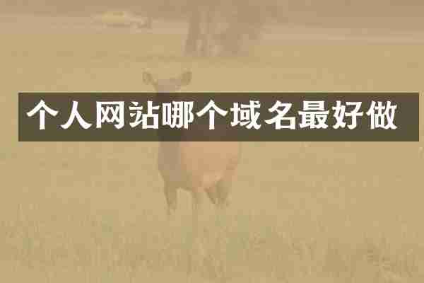 个人网站哪个域名最好做