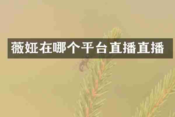 薇娅在哪个平台直播直播