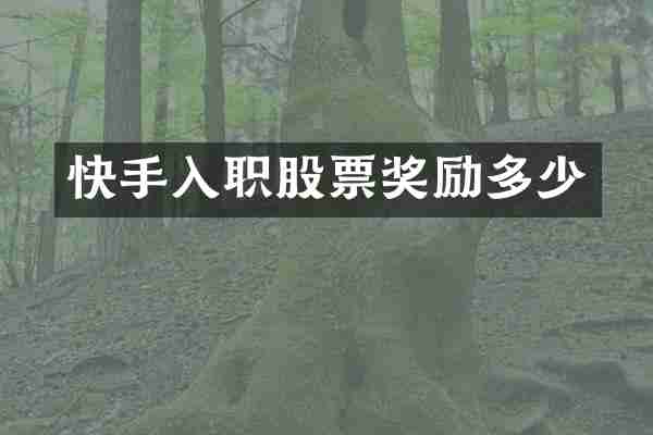 快手入职股票奖励多少