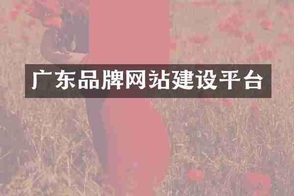 广东品牌网站建设平台