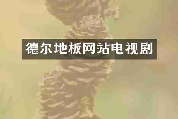 德尔地板网站电视剧