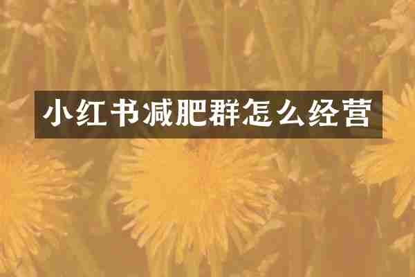 小红书减肥群怎么经营