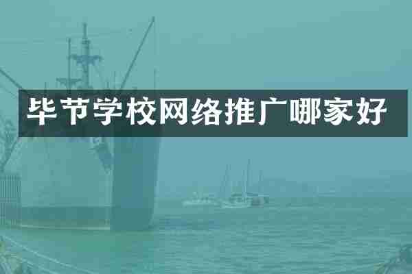 毕节学校网络推广哪家好
