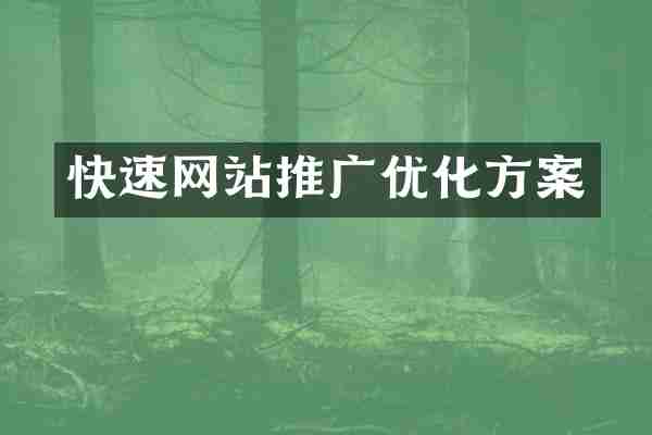 快速网站推广优化方案