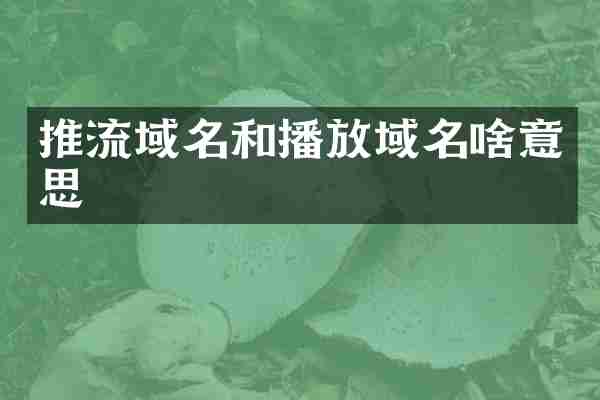 推流域名和播放域名啥意思