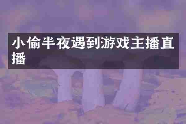 小偷半夜遇到游戏主播直播