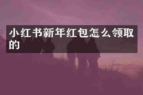 小红书新年红包怎么领取的