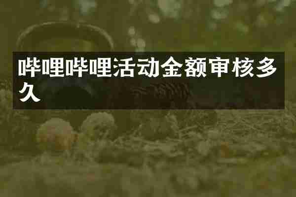 哔哩哔哩活动金额审核多久