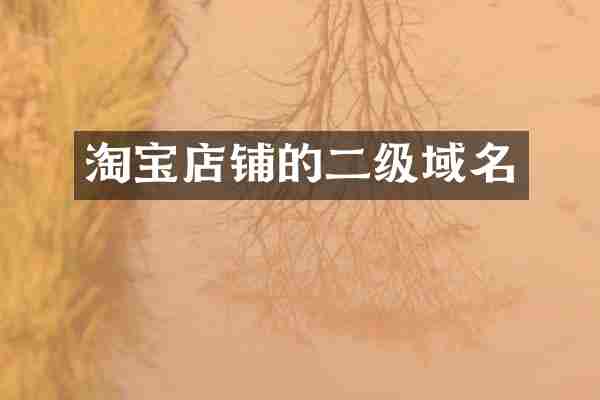 淘宝店铺的二级域名