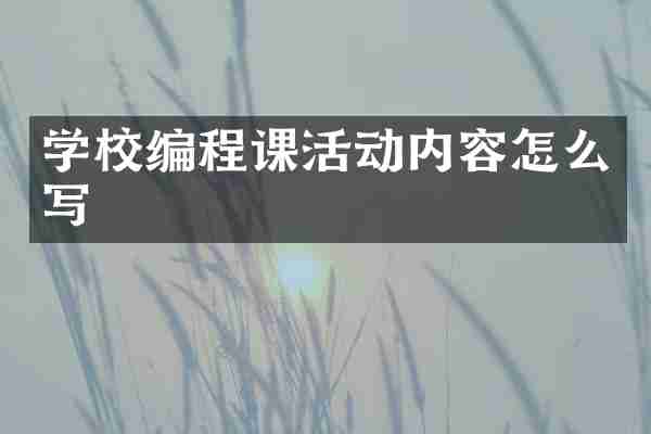 学校编程课活动内容怎么写