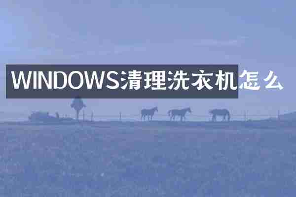 WINDOWS清理洗衣机怎么