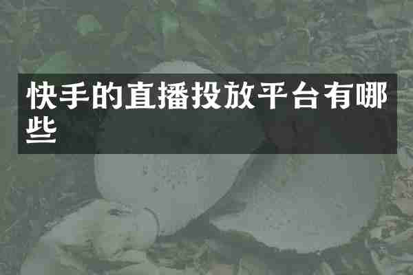 快手的直播投放平台有哪些