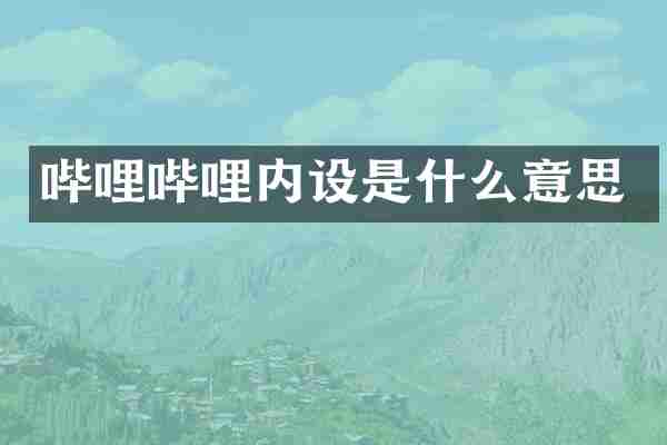 哔哩哔哩内设是什么意思