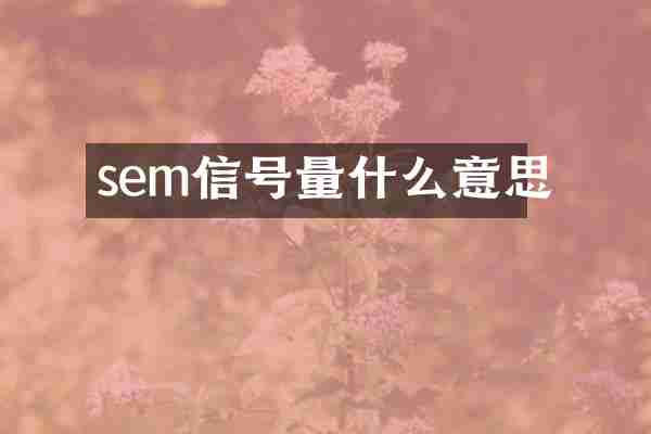 sem信号量什么意思