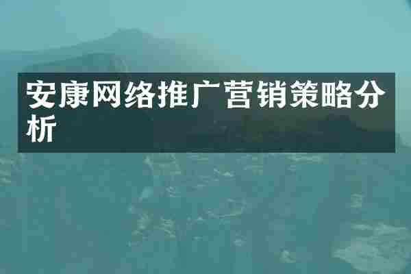 安康网络推广营销策略分析