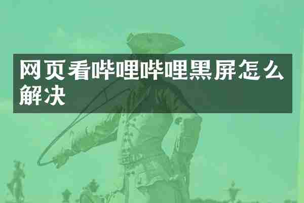 网页看哔哩哔哩黑屏怎么解决