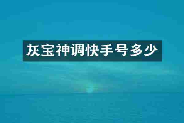 灰宝神调快手号多少