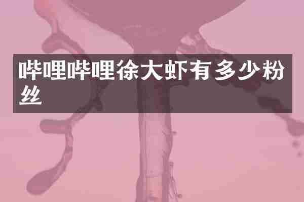 哔哩哔哩徐大虾有多少粉丝