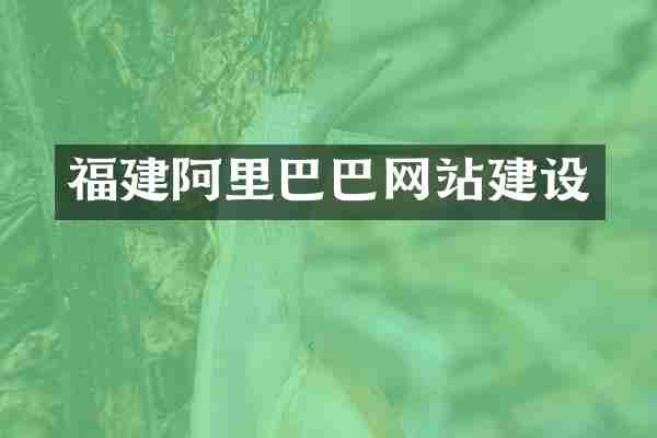 福建阿里巴巴网站建设