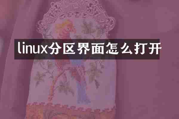 linux分区界面怎么打开