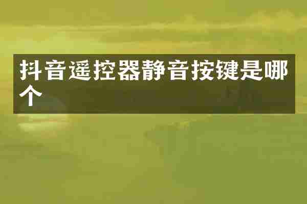 抖音遥控器静音按键是哪个