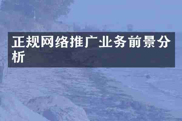 正规网络推广业务前景分析