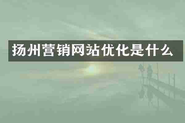 扬州营销网站优化是什么