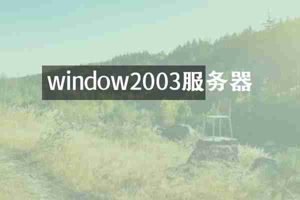 window2003服务器